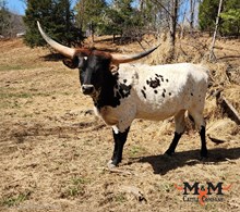 MM Hangin' On2U Beautiful