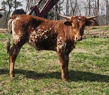 MM 911AccelerateYour Thx