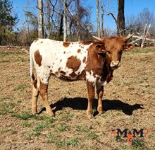 MM Hangin' On 2Her Trust